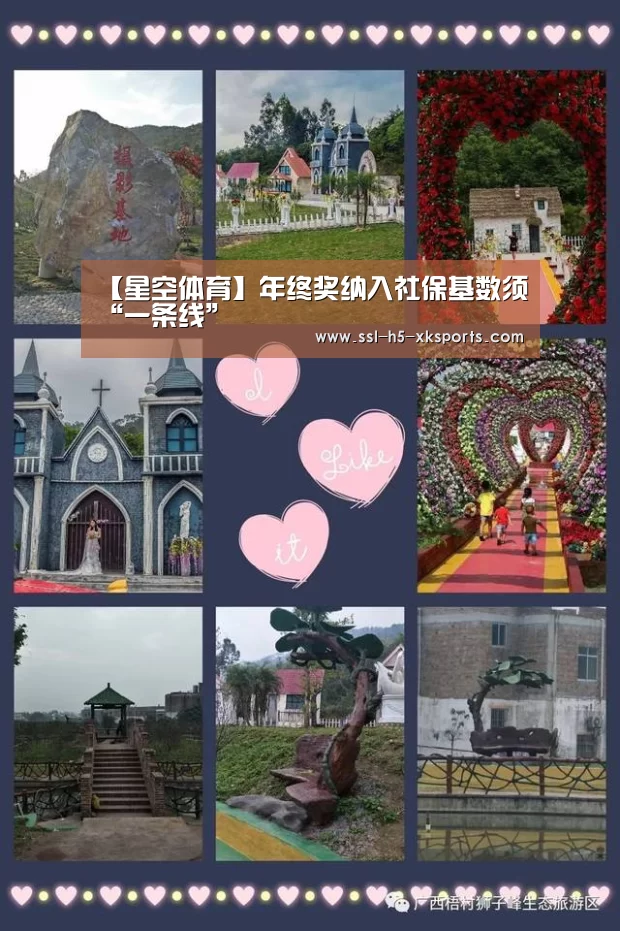 【星空体育】年终奖纳入社保基数须“一条线”(图1) 星空体育入口