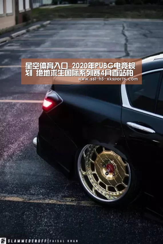 星空体育入口_2020年PUBG电竞规划 绝地求生国际系列赛4月首站柏林(图1) 星空体育网址